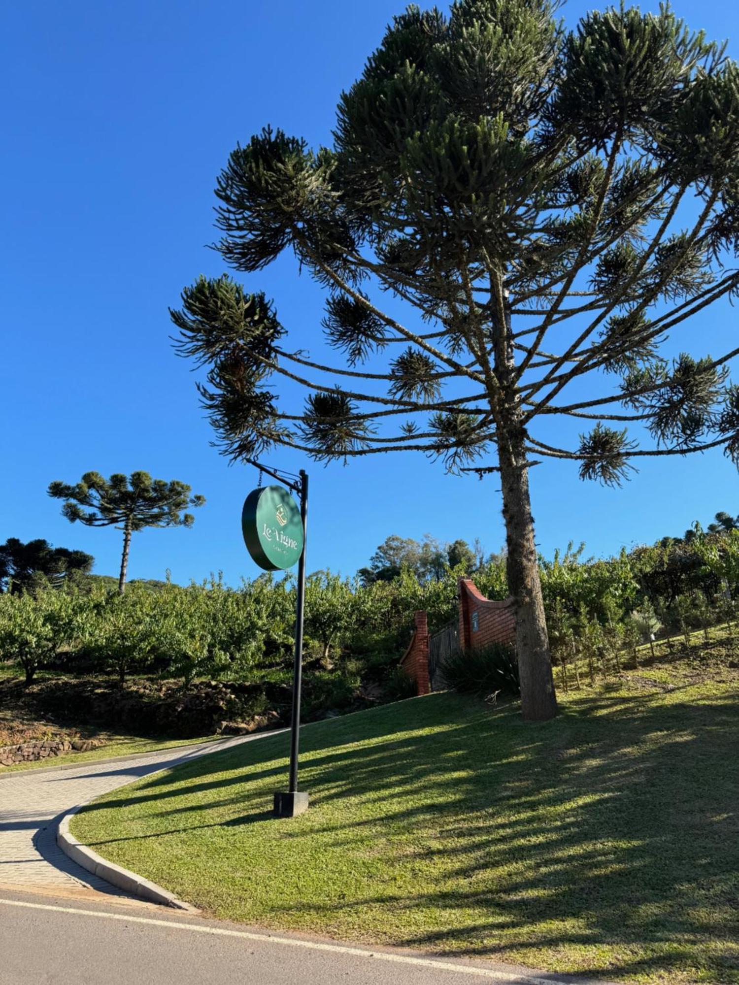 Cabanas Le Vigne Pinto Bandeira 외부 사진