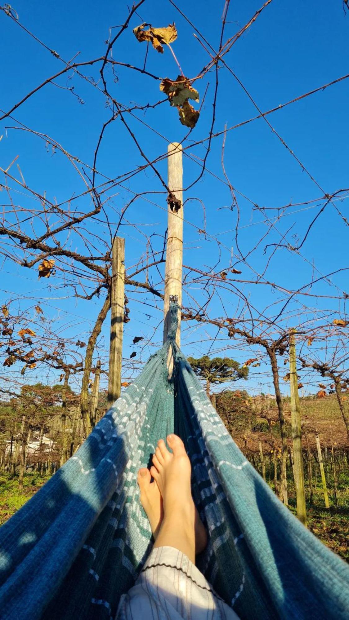 Cabanas Le Vigne Pinto Bandeira 외부 사진