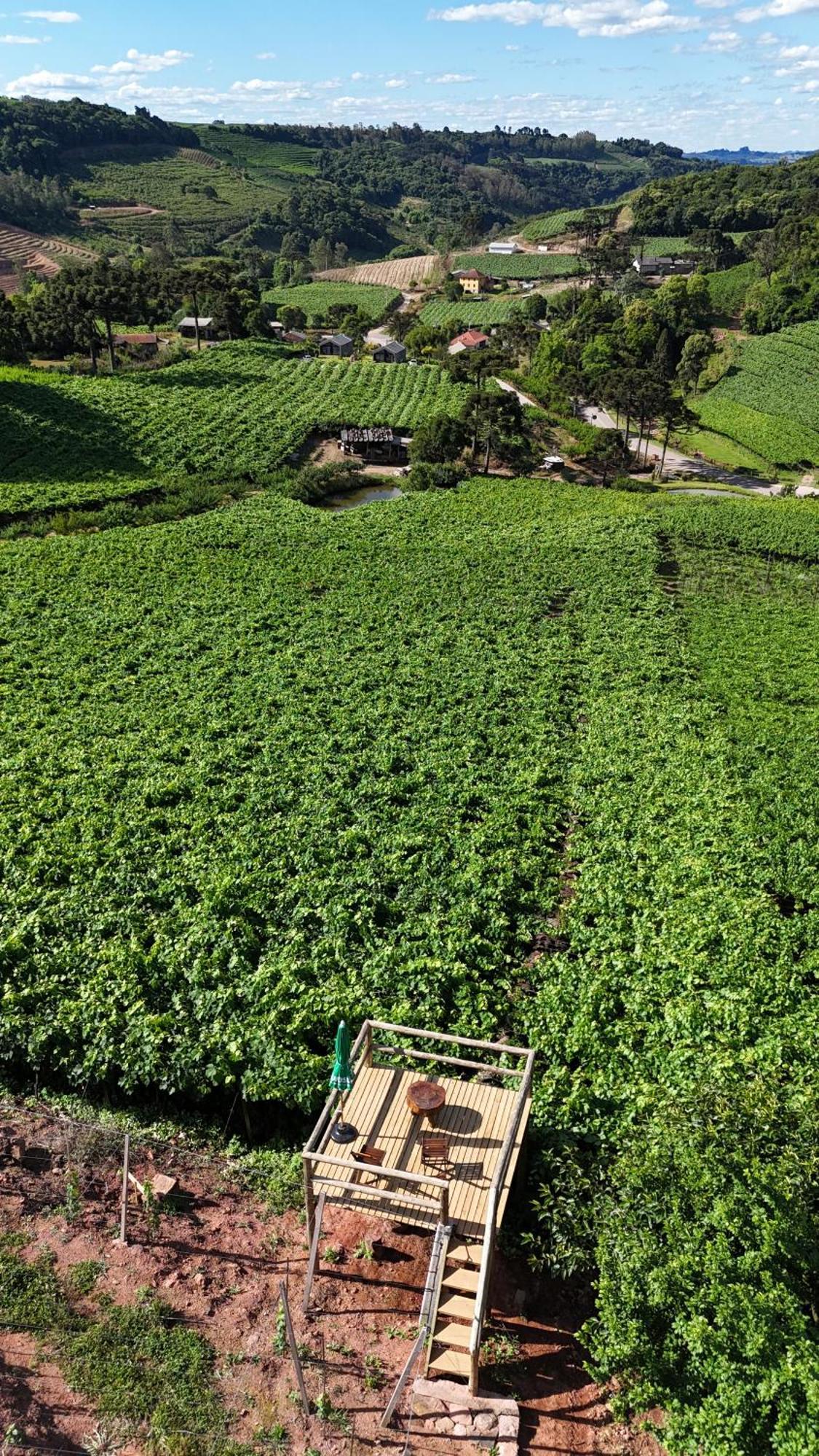 Cabanas Le Vigne Pinto Bandeira 외부 사진