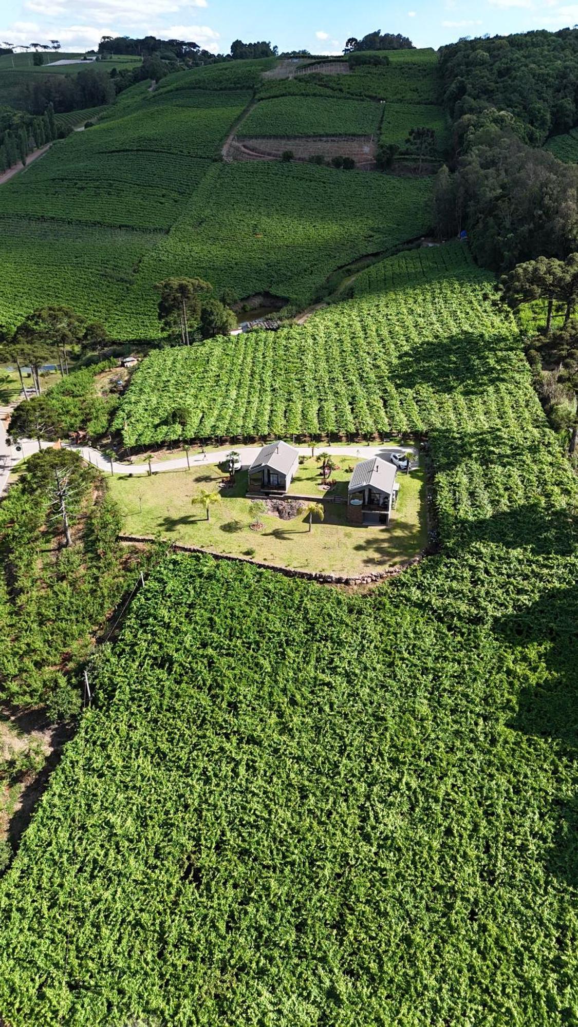 Cabanas Le Vigne Pinto Bandeira 외부 사진