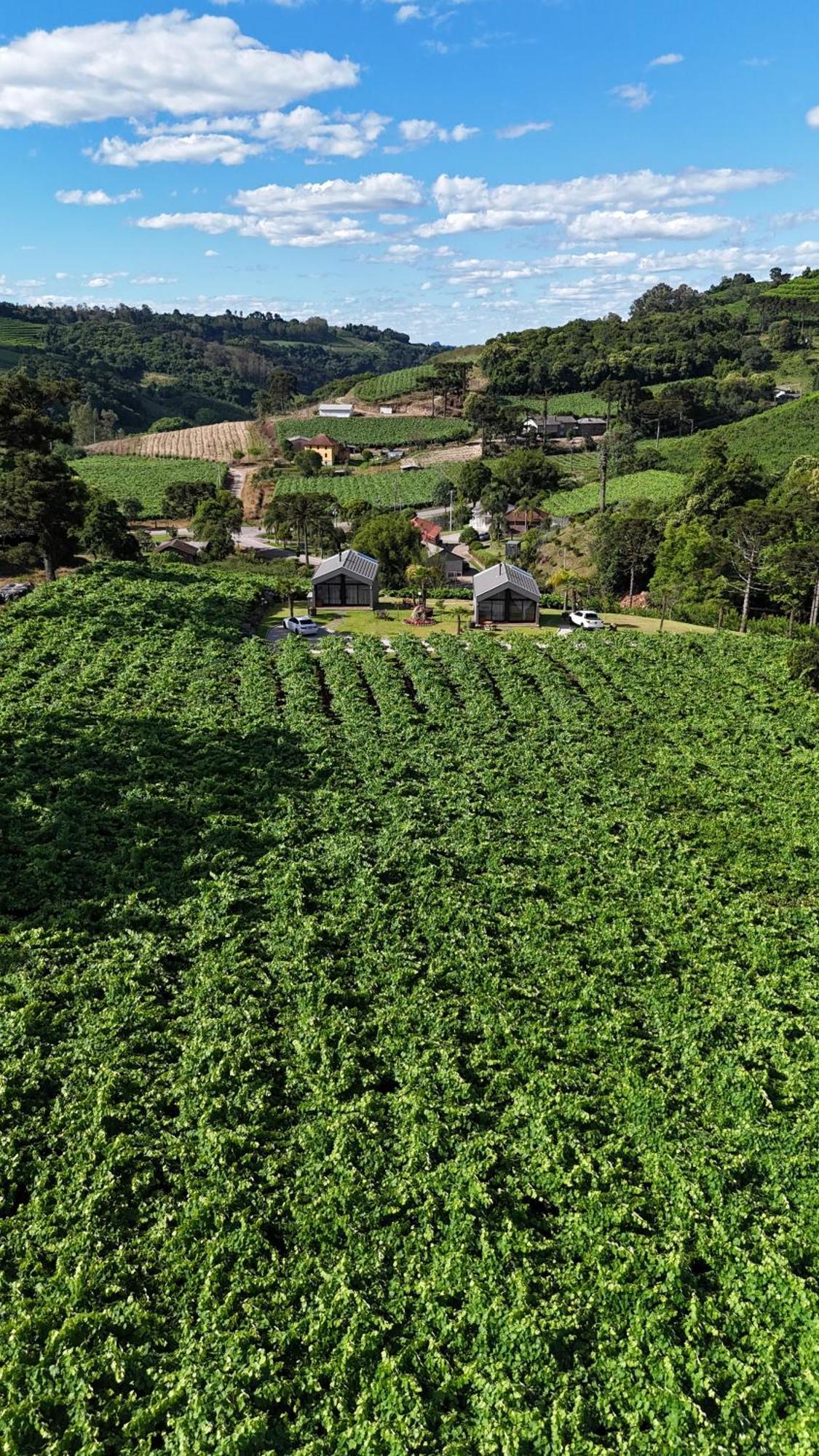 Cabanas Le Vigne Pinto Bandeira 외부 사진